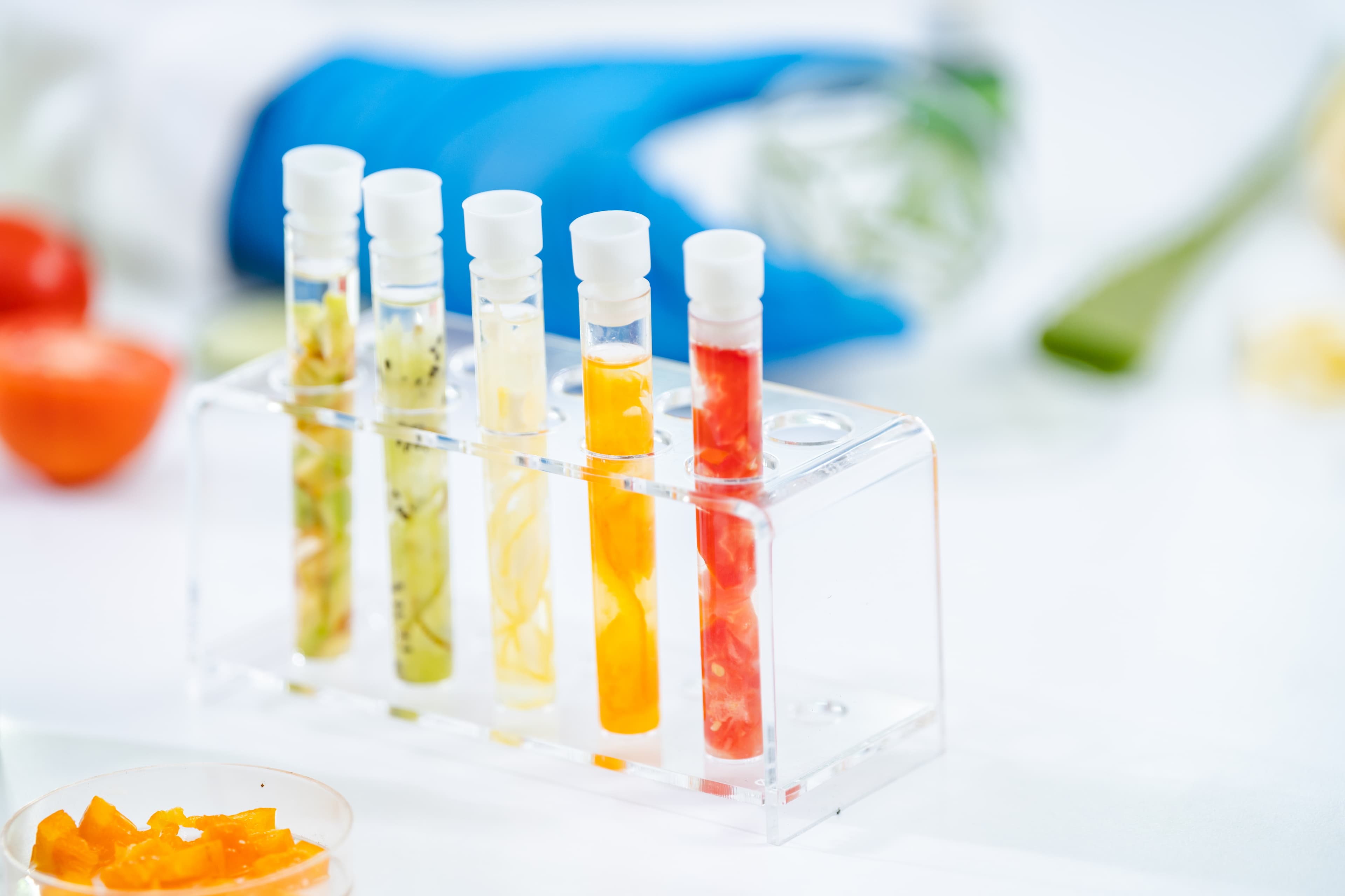 Flavor Compound Analysis