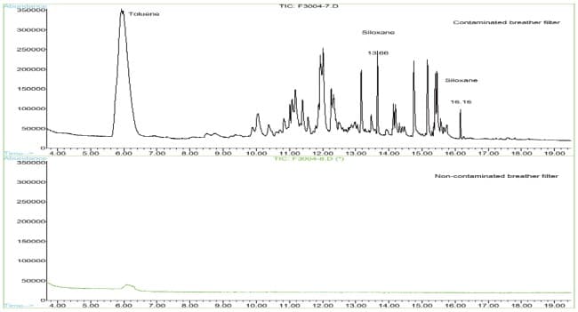 Flavor Analysis Services